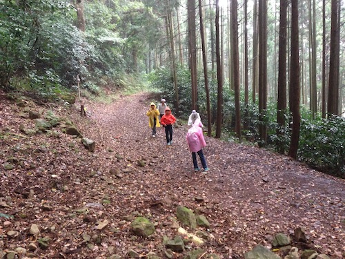 登山(10・3)の日らしい_c0052304_1923266.jpg