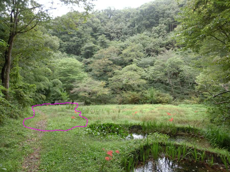 e0253104_23392912.jpg