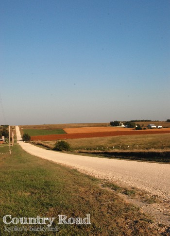 b0253205_149378.jpg
