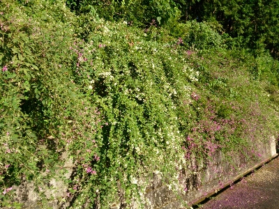 e0252905_14361327.jpg