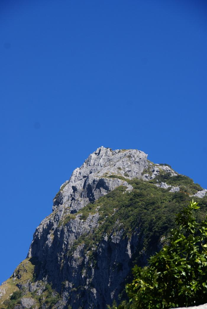 a0162707_1473462.jpg