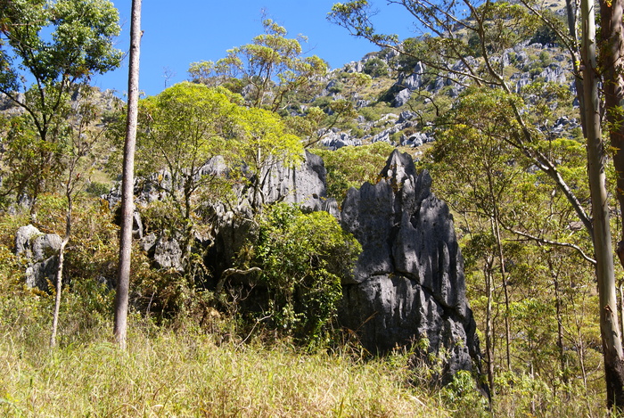 a0162707_1505484.jpg