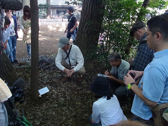 都会のキノコ入門講座_b0049307_243650.jpg