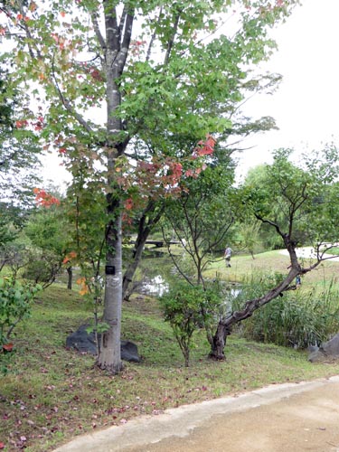 アトリエ蒼 秋のスケッチ会 2013年10月3日(木)_b0129807_16262530.jpg