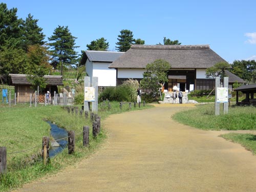 アトリエ蒼 秋のスケッチ会 2013年10月3日(木)_b0129807_16303494.jpg