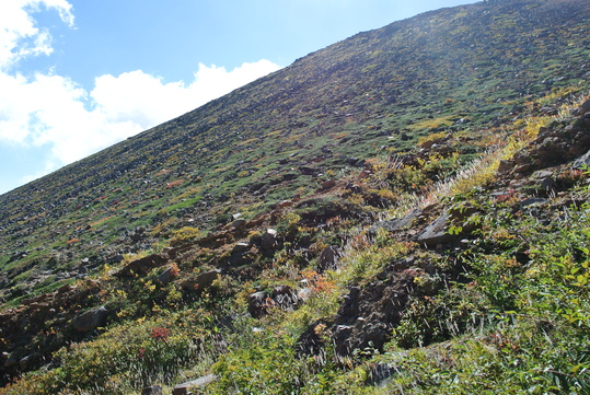 e0252707_7452780.jpg