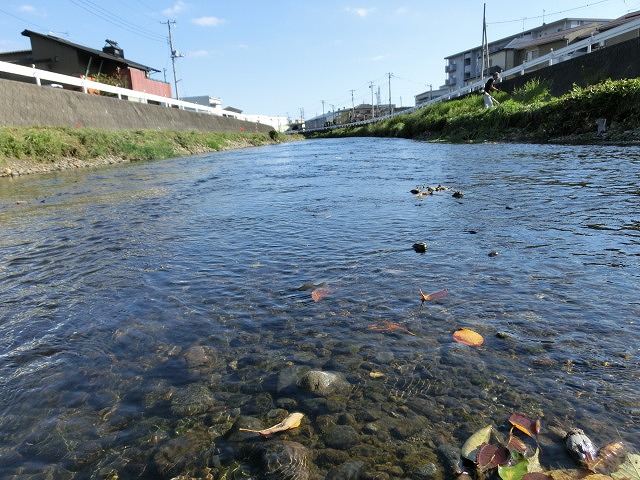 f0141310_7325365.jpg