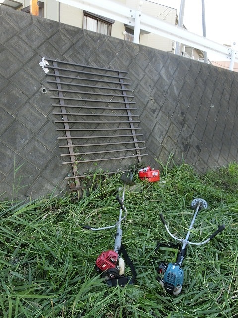 f0141310_733985.jpg