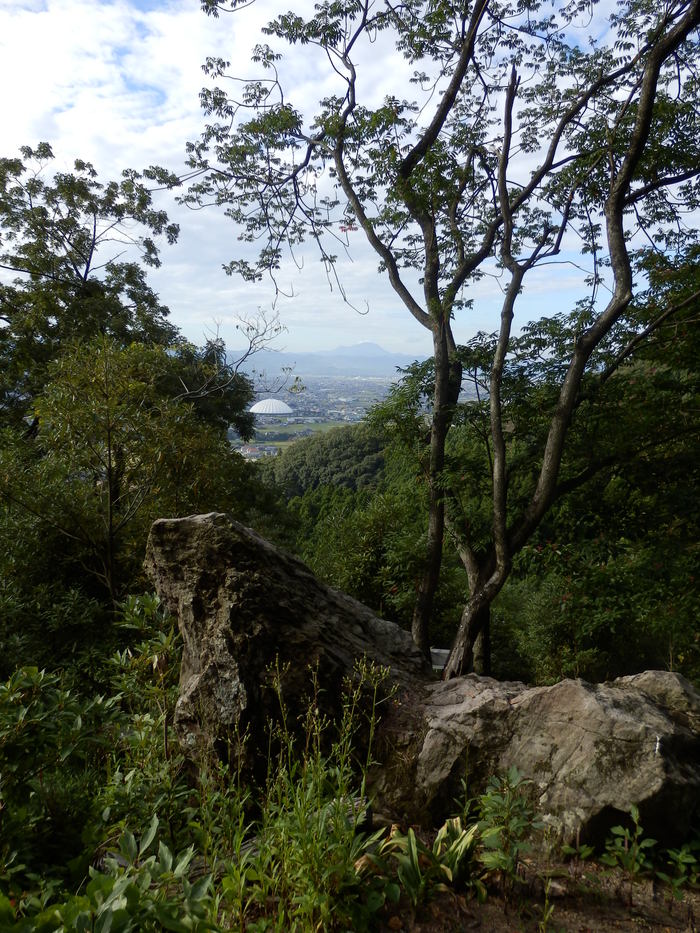 f0219710_7191376.jpg