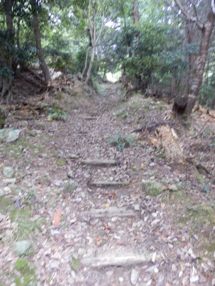 f0219710_7265851.jpg