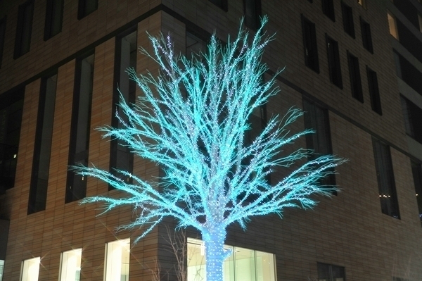 b0304411_77560.jpg