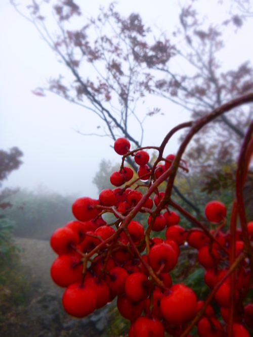 2013.10  谷川岳登山！　_a0236914_942535.jpg