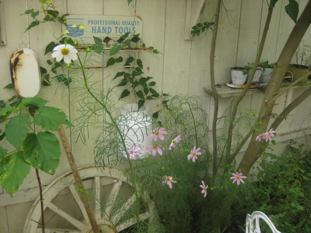 c0085916_121454100.jpg