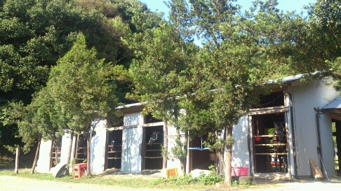 b0187620_20381252.jpg