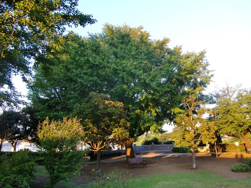 c0219820_225361.jpg