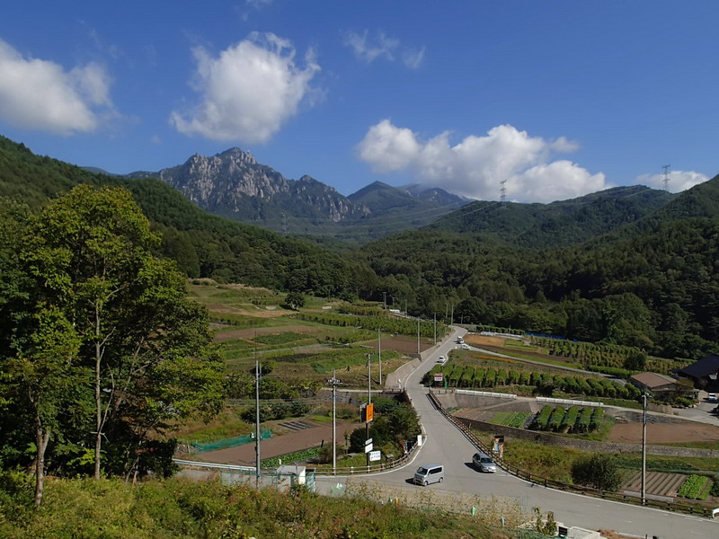 d0090322_6462074.jpg