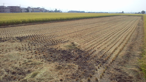 e0184224_16481711.jpg