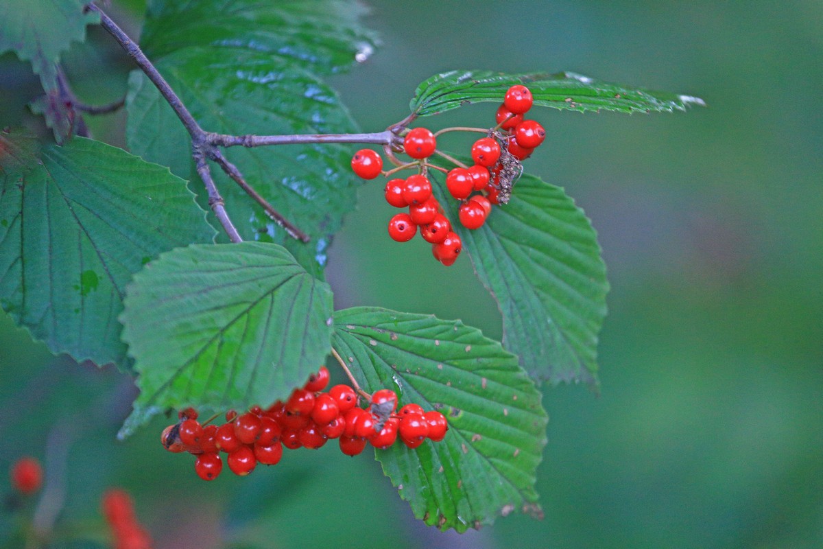c0104227_21582844.jpg