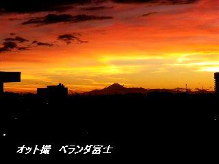 b0102728_1036223.jpg