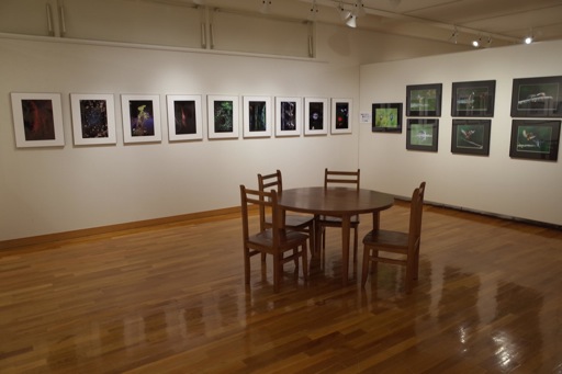 東川町文化ギャラリー展示情報_b0187229_115288.jpg