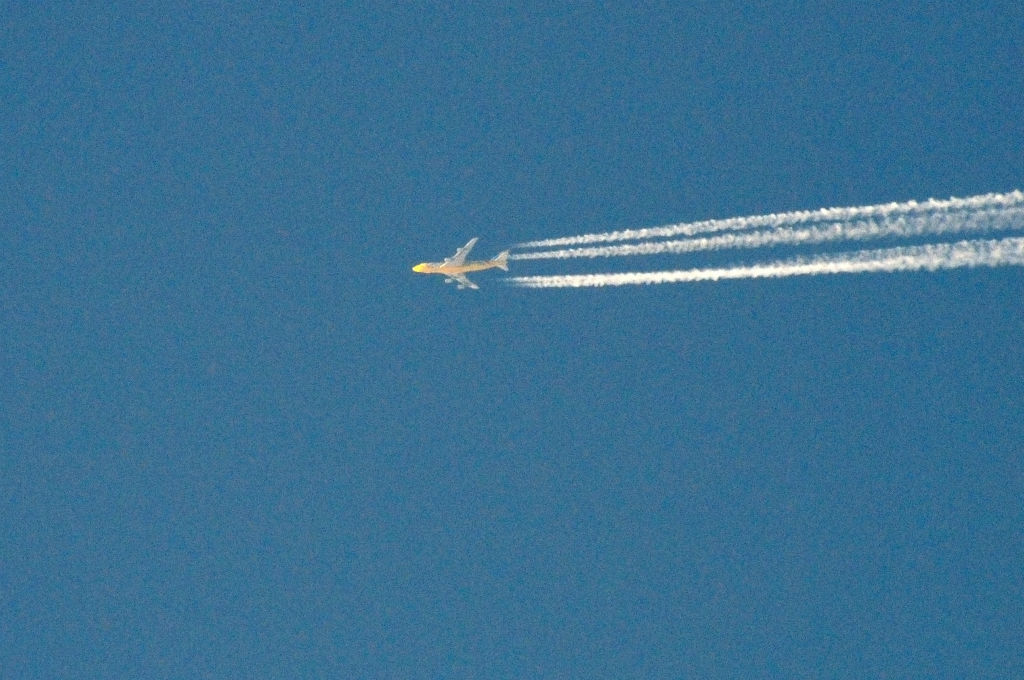 e0272231_240918.jpg