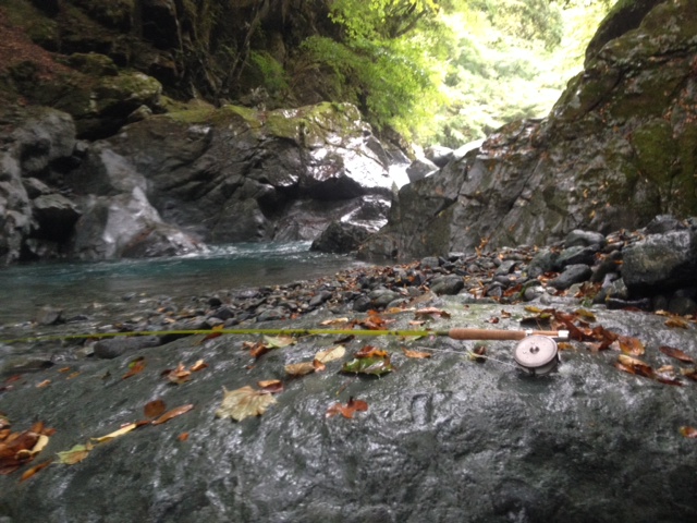 中津川水系 H川釣行_c0149633_19414790.jpg