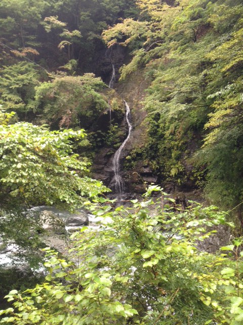中津川水系 H川釣行_c0149633_19564340.jpg