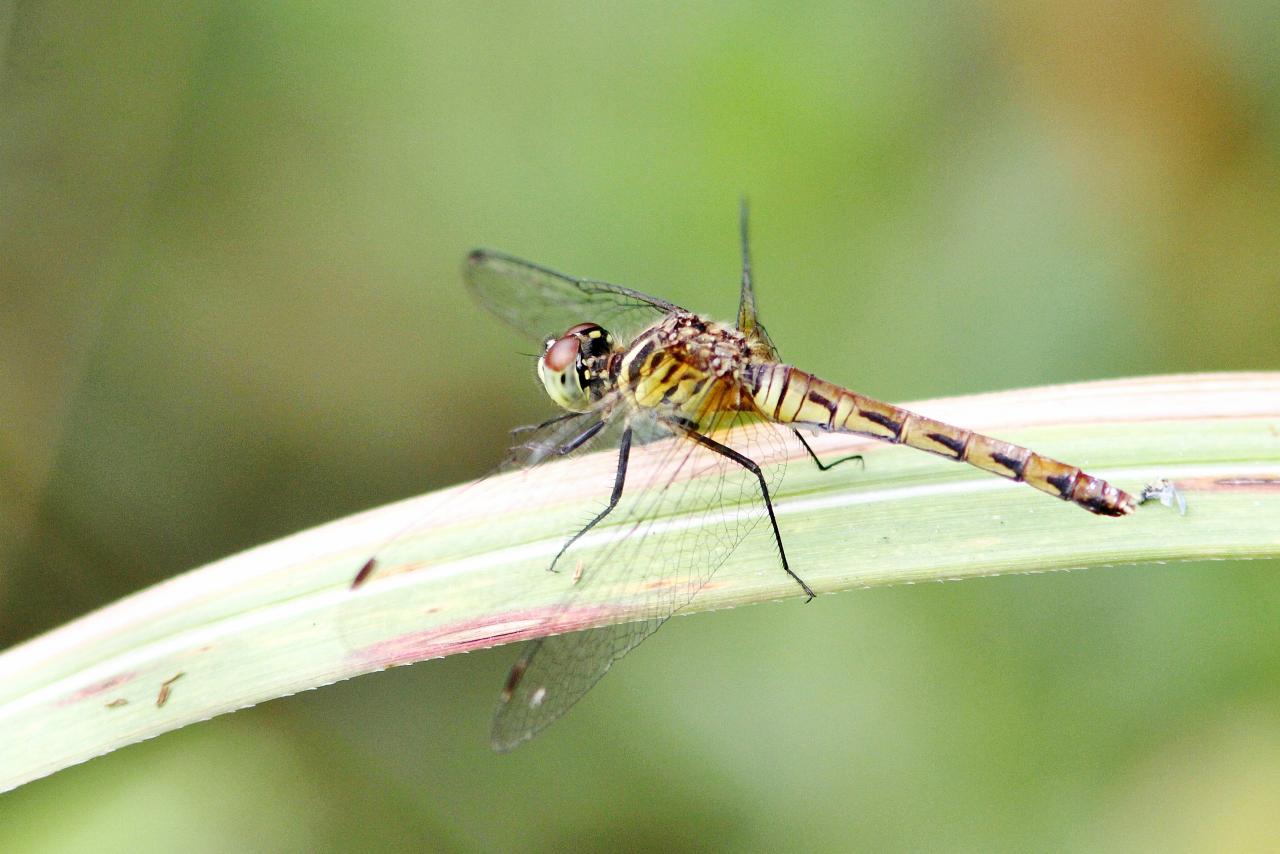 c0172139_0455434.jpg