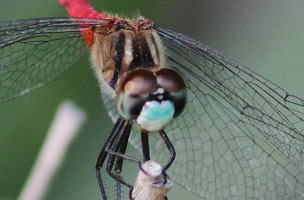 c0172139_21232593.jpg