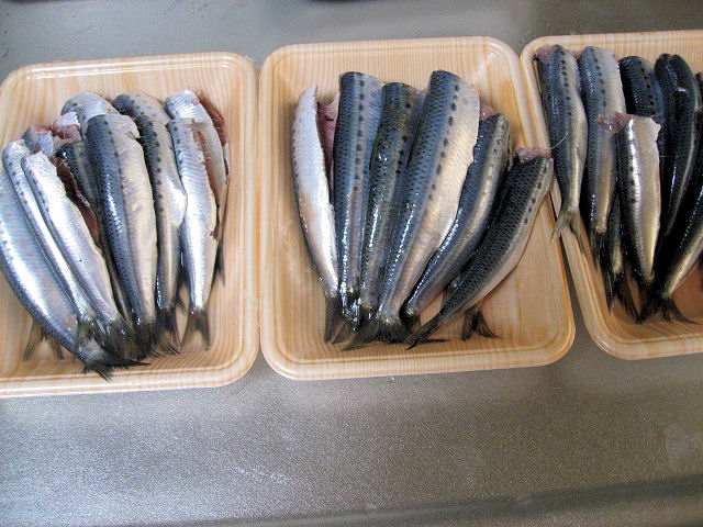 a0149240_19351337.jpg