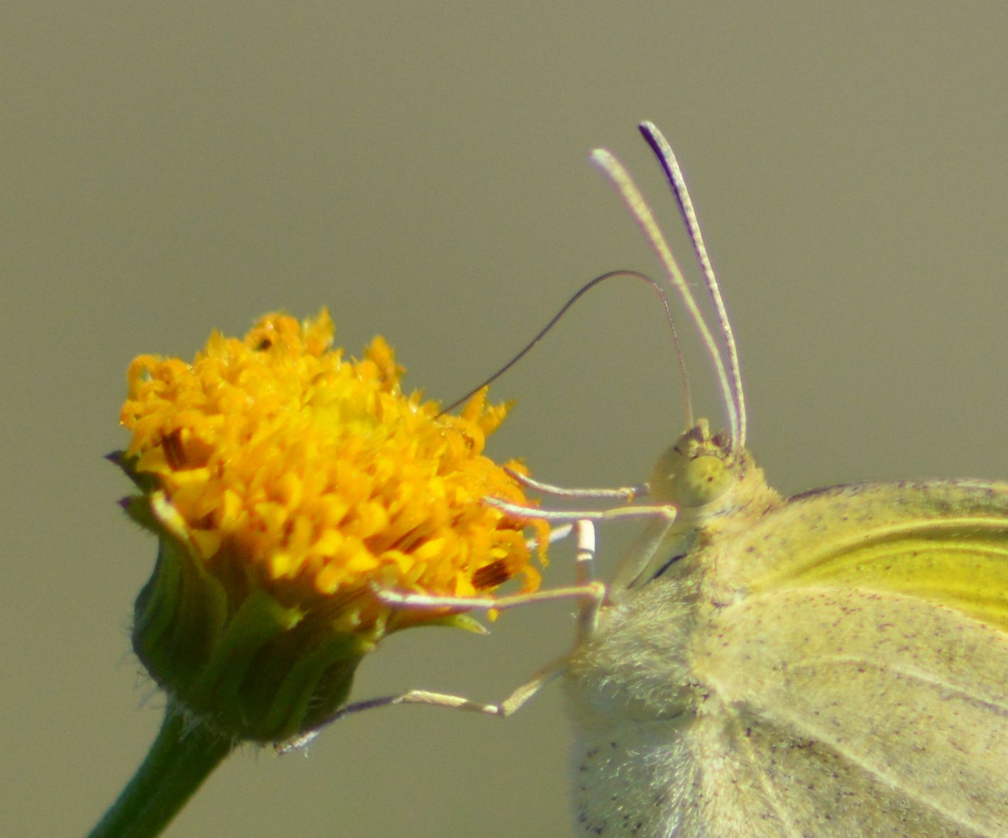 d0254540_1856328.jpg