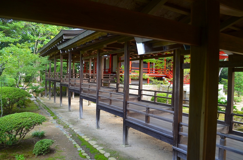 初秋の嵯峨野の風情『大覚寺と大沢の池』_e0237645_167072.jpg