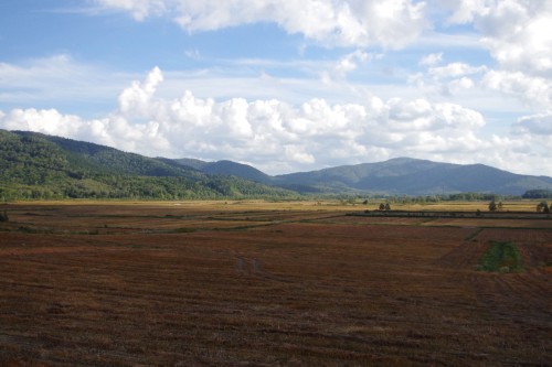 f0045846_15581143.jpg