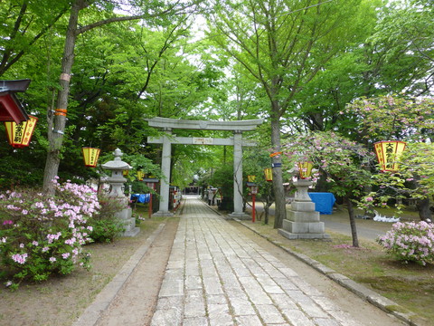 b0238249_20343491.jpg