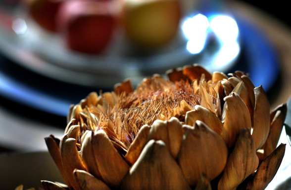 ひからびたアーティチョーク・リンゴ Dried out Artichoke&Apples_d0047851_2224515.jpg