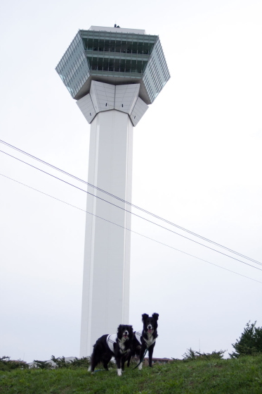 2013年北海道の旅～８日目　函館夜景…☆彡_f0236653_81371.jpg