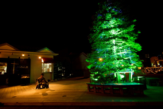 2013年北海道の旅～８日目　函館夜景…☆彡_f0236653_82275.jpg