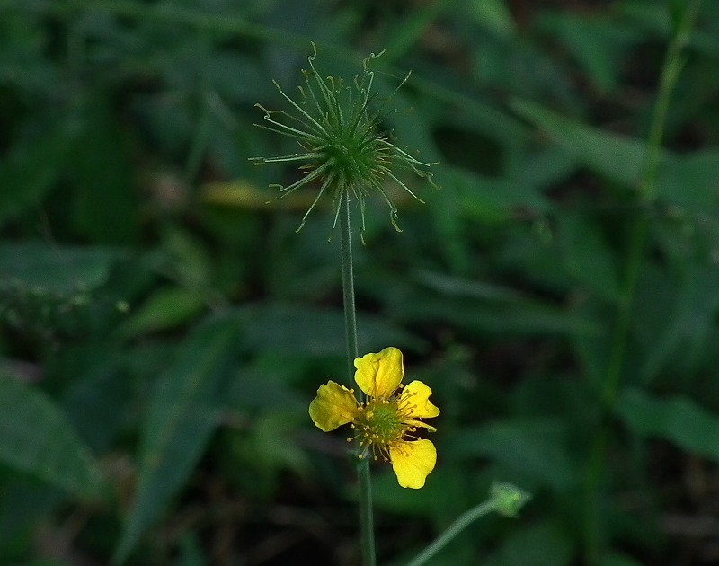 a0018655_20202732.jpg