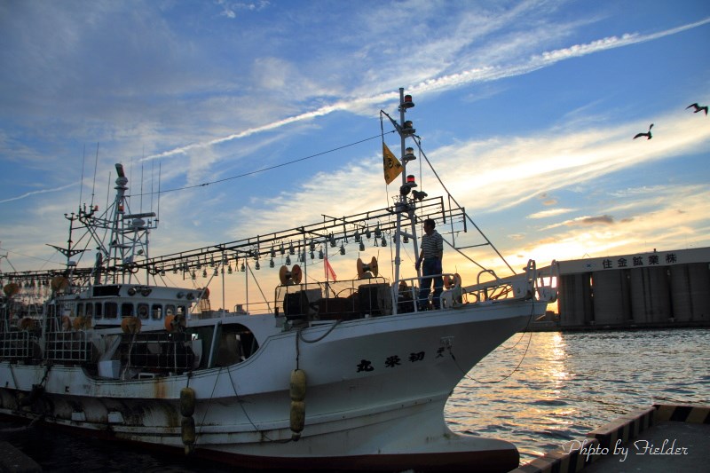 第一魚市場昼イカ水揚げ風景_b0126256_72208.jpg