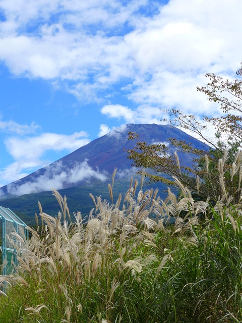 c0134862_1048325.jpg
