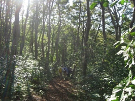 b0218664_18442547.jpg