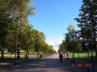 Finland 一人旅・海の見えるカイヴォプイスト公園_e0195766_14129.jpg