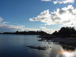 Finland 一人旅・海の見えるカイヴォプイスト公園_e0195766_14135.jpg