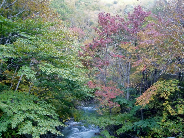 c0198267_9364015.jpg