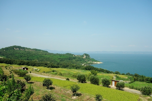 豊島（てしま）美術館にて　～瀬戸内の島々への旅１_d0140867_221089.jpg