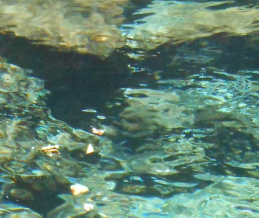 水面2 水彩画_f0176370_13503081.jpg