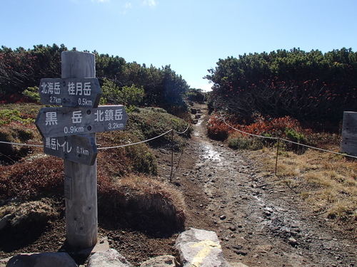 2013年9月27日～29日　大雪山黒岳～高原温泉縦走（黒岳石室kara北鎮岳）_f0130376_19344052.jpg