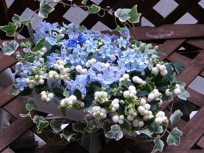 f0007380_1855779.jpg
