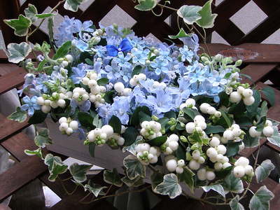 f0007380_1863313.jpg