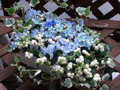 f0007380_186356.jpg